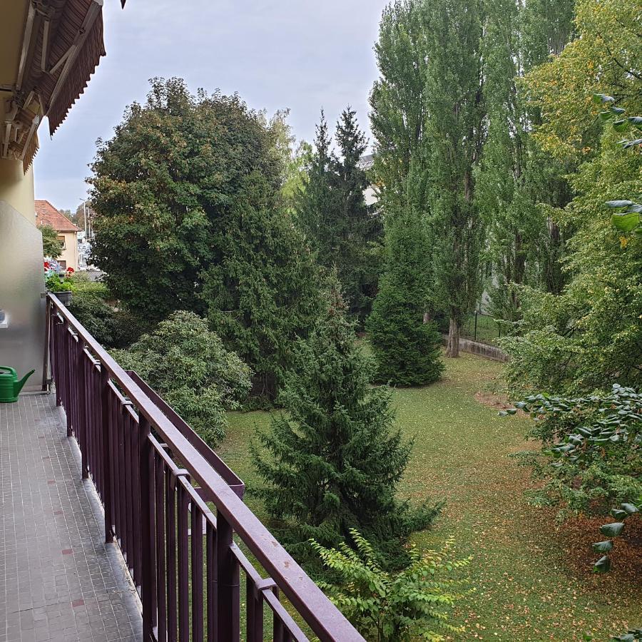 Cote Parc Leilighet Schiltigheim Eksteriør bilde