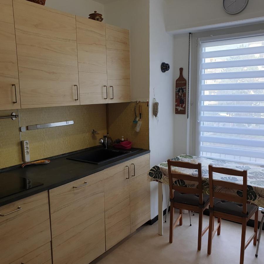 Cote Parc Leilighet Schiltigheim Eksteriør bilde